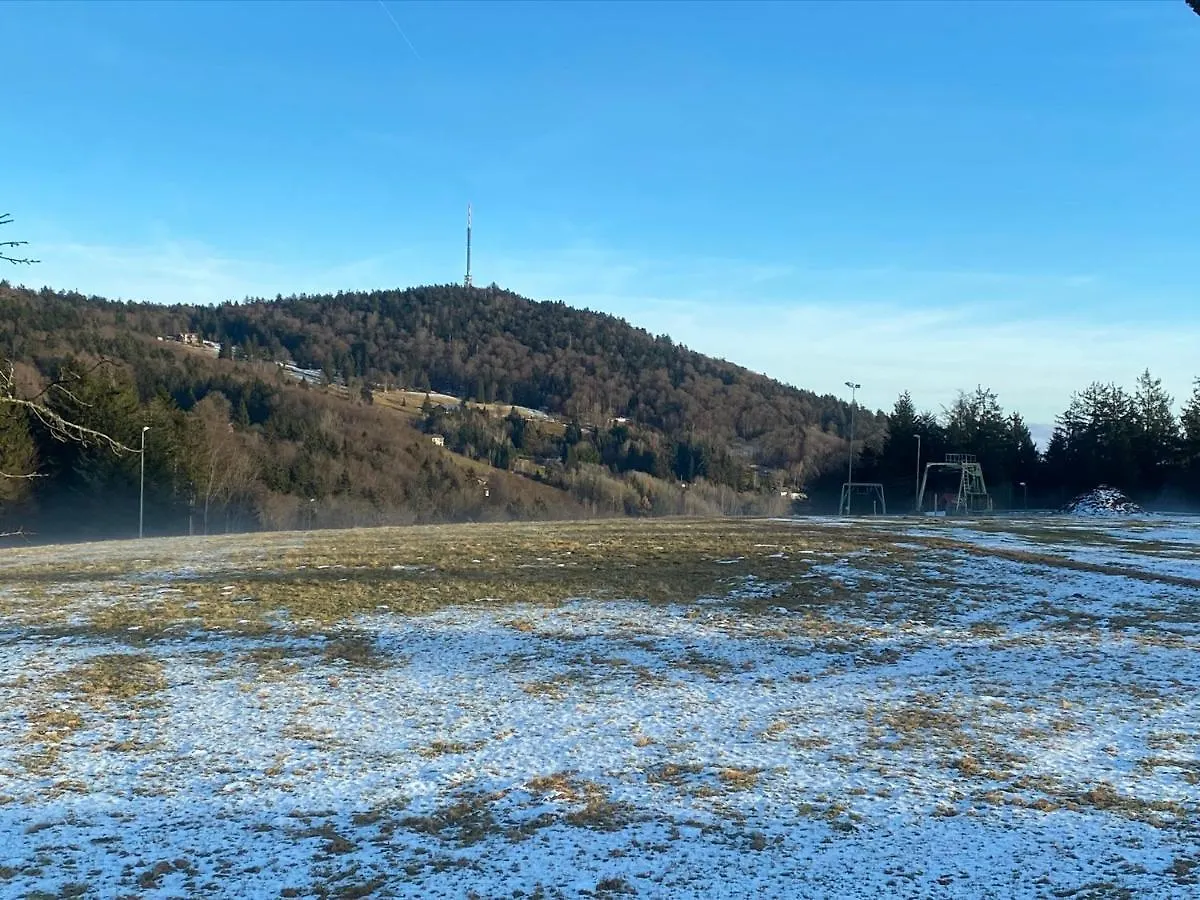 Διαμέρισμα Mitten Im Bayerischen Wald-95M² Wohnung + *Netflix* Direkt Am Skilift! Schöfweg Γερμανία