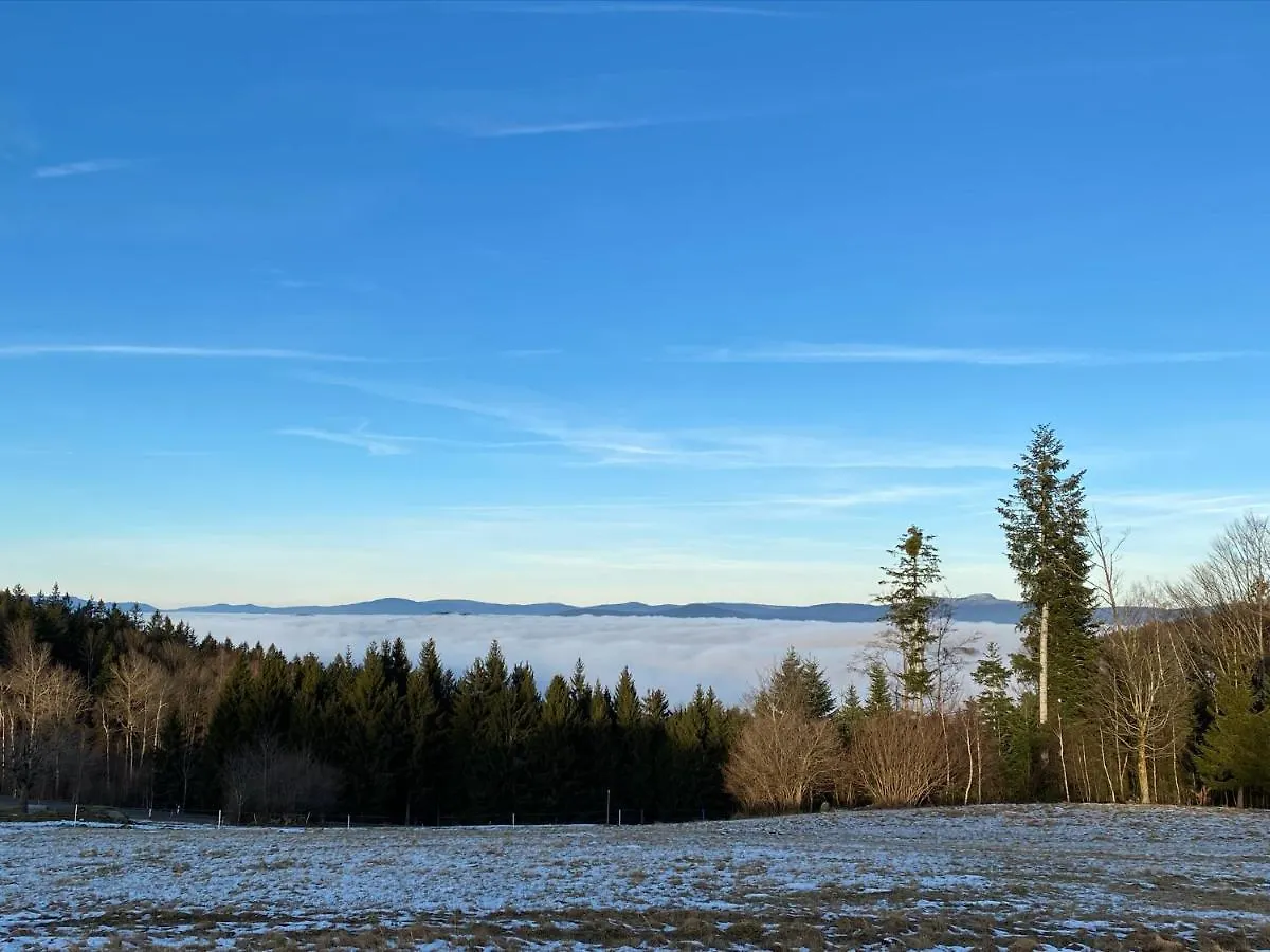 Mitten Im Bayerischen Wald-95M² Wohnung + *Netflix* Direkt Am Skilift! Schöfweg