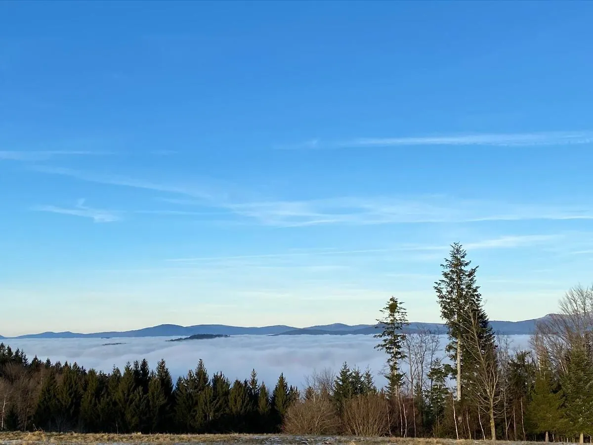 Mitten Im Bayerischen Wald-95M² Wohnung + *Netflix* Direkt Am Skilift! Schöfweg Διαμέρισμα